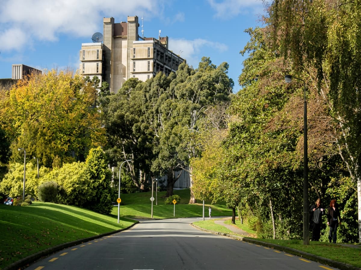 A university tower above a tree-lined campus road.