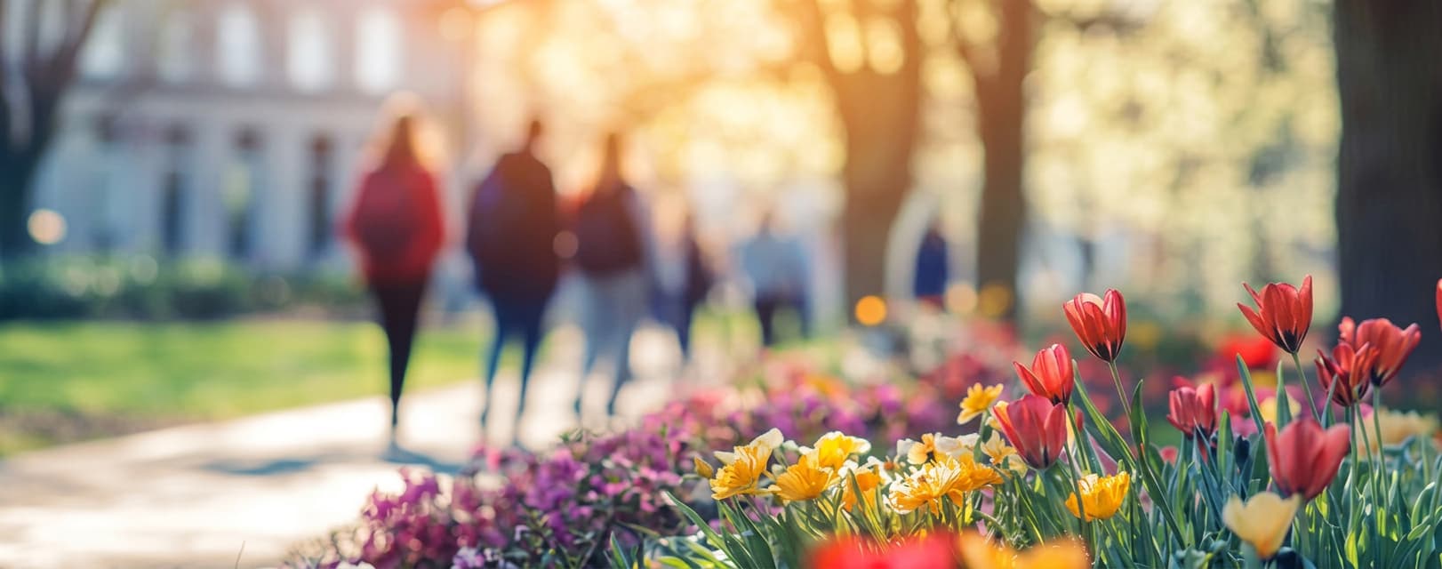 A pale classical facade behind tulip beds and strolling visitors in spring.
