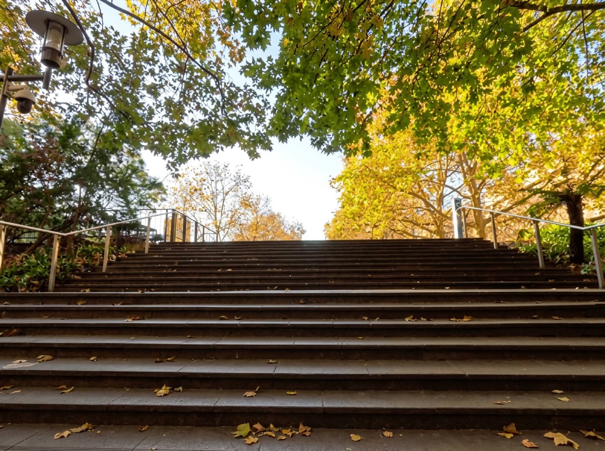 Wide stone steps rising towards a canopy of golden autumn leaves.